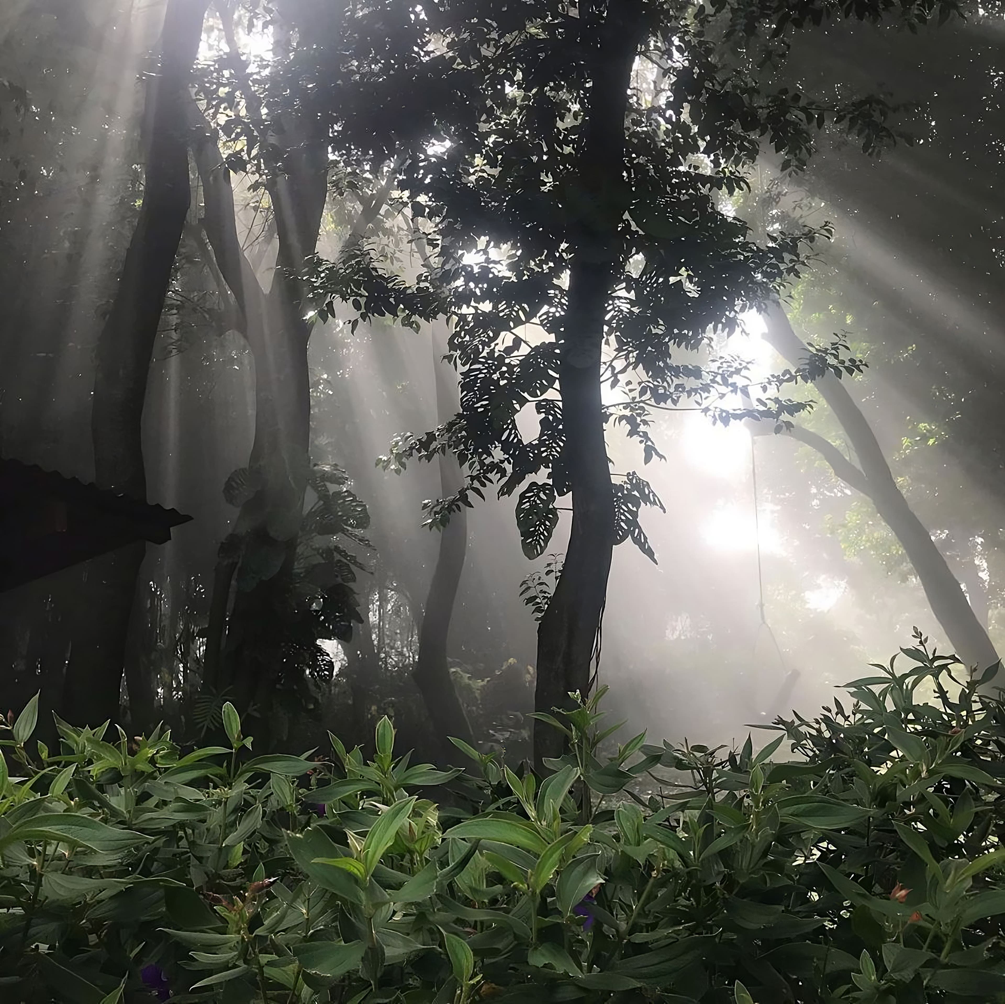 Experiencias mágicas